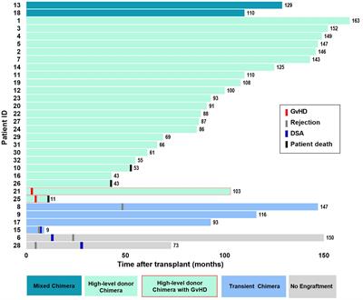 HLA molecular mismatches and induced donor-specific tolerance in combined living donor kidney and hematopoietic stem cell transplantation